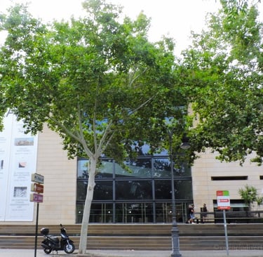 Facade of the Valencian Institute of Modern Art (IVAM) Valencia