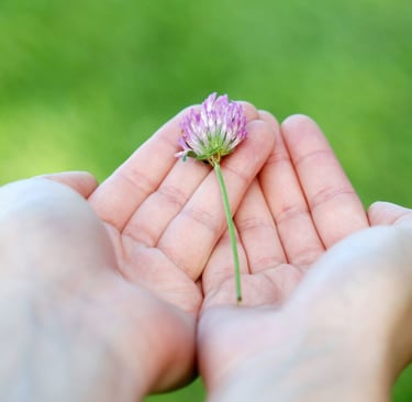 el amor es dar sin esperar nada a cambio