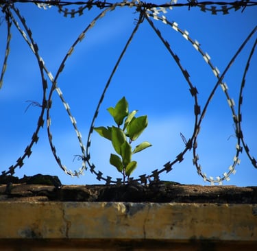 El encierro de nuestro ser por parte de nuestro ego