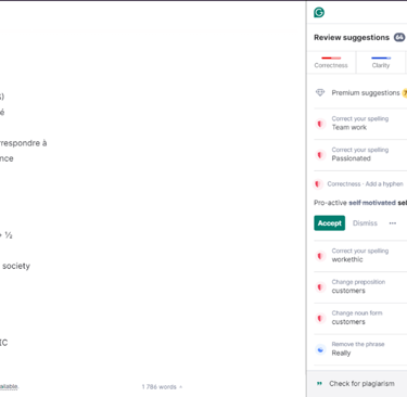 Grammarly: The image above displays a list of different errors in the document on the right side.