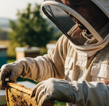 Beekeeper inspecting hive wearing complete PPE beekeeping clothing.