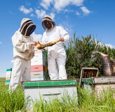 The Evolution of Beekeeping Gear: From Tradition to Innovation