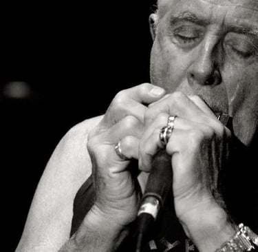 john mayall suona l'armonica