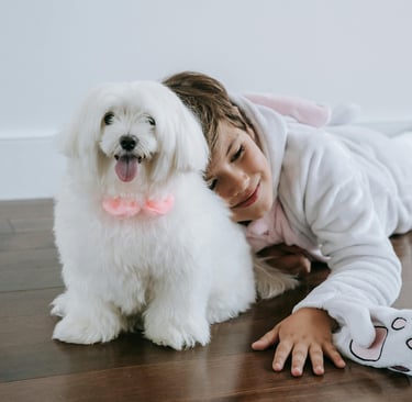 maltese e bambino