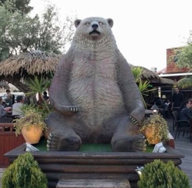Bar Grizzlys