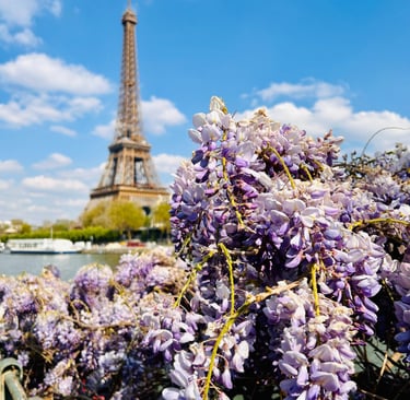 floraison printemps paris tour eiffel