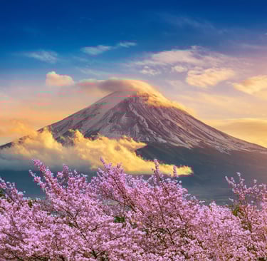 Fuji Mount at twilight with cherry blossomsTokyo Japan