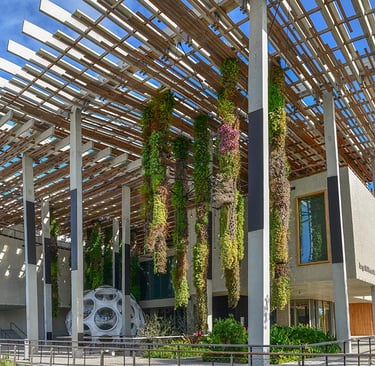 Pérez Art Museum Miami exterior showing Herzog & de Meuron's suspended garden architecture