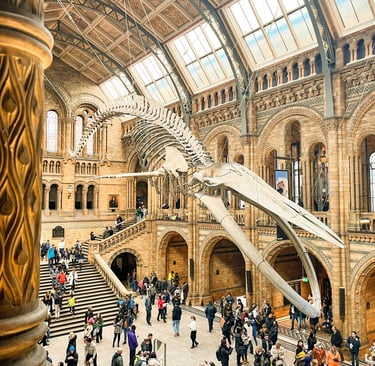 Landmark museum of animals and natural phenomena