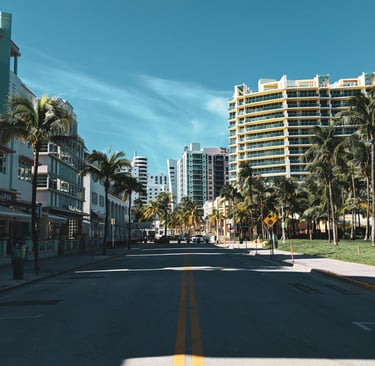 Typical street in Miami with Palm trees