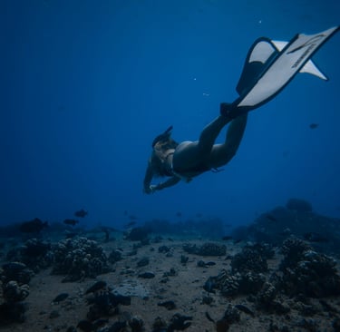 A free diver swimming deep underwater over a coral reef with tropical fish in blue ocean water.
