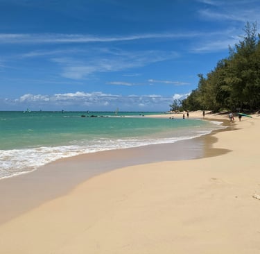 Tropical sandy beach on Maui with turquoise ocean waves and windsurfers under a clear blue sky.