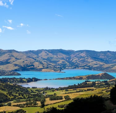 Panoramic view of Akaroa Harbour in New Zealand with turquoise water, rolling green hills, and mountains.
