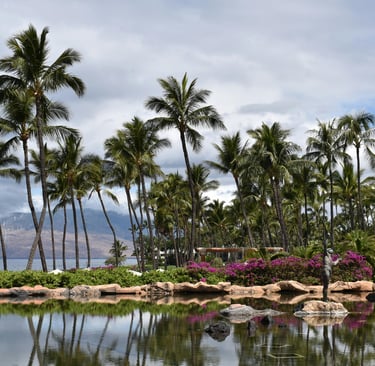 Tropical Hawaiian landscape featuring tall palm trees reflected in a calm resort pond with distant mountain views.