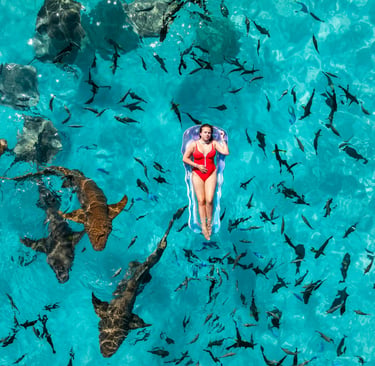 Woman in a red swimsuit floating on a raft surrounded by nurse sharks and tropical fish in clear blue water.