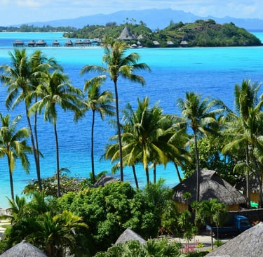 Tropical Bora Bora resort with palm trees, thatched huts, and clear blue lagoon water.