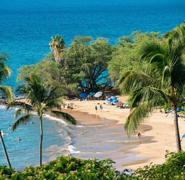 Aerial view of a tropical sandy beach in Hawaii with palm trees, turquoise ocean water, and people sunbathing.