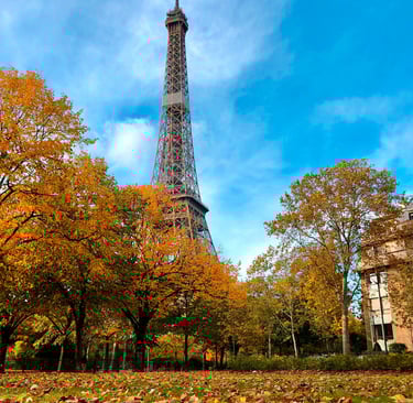 Fall foliage with autumn colors