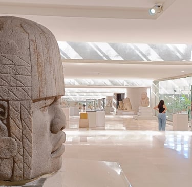 Cabeza Colosal Olmeca Xalapa Patrimundi