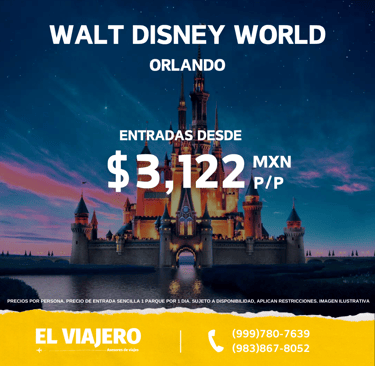 a disney world resort with a castle in the background