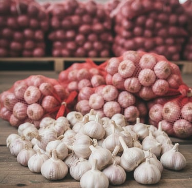 Fresh garlic from India ready for export