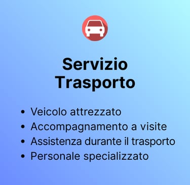 grafica servizio trasporto, taxi sociale, veicolo per carrozzina