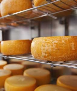 Cheese factory