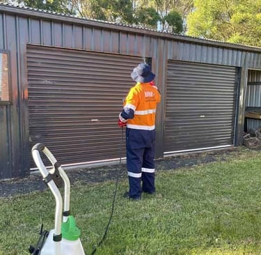 Pest control for spiders