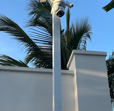 a camera mounted to a wall near a palm tree
