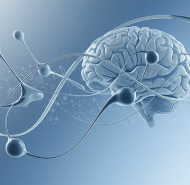 a brain scanplot of a brain and a brain