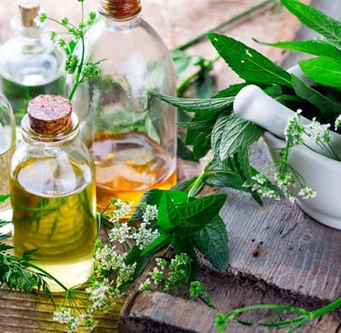 Ervas para banhos de proteção