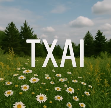 Fundo Natureza e a palavra Txai em destaque