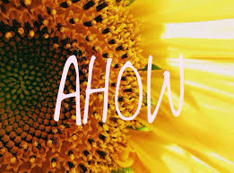 Girasol com a palavra Ahow