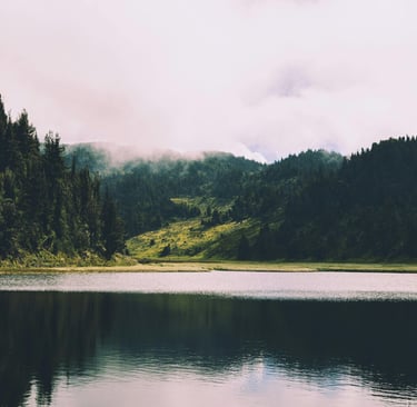 A reservoir with still water and tall green trees on either side, mist gathers towards the sky