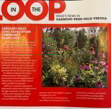 article providing details about the plant sale