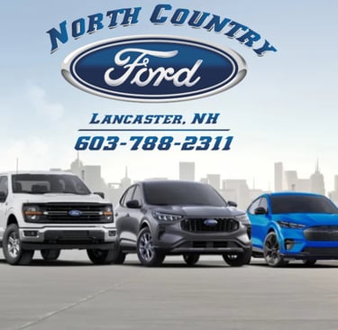 a group of four ford trucks parked in front of a woods
