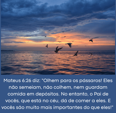 Mateus 6:26