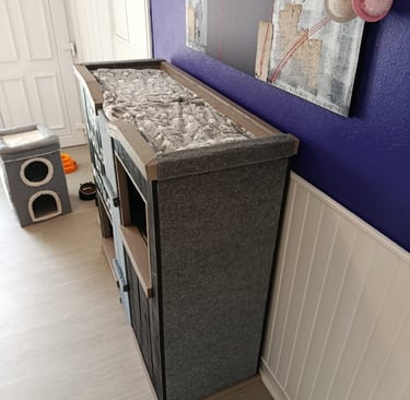 Les Dolls de Mitilo Arbre Ă chat Palettes