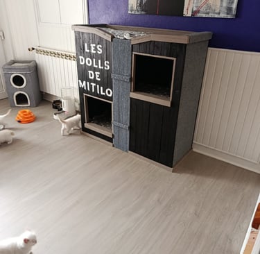 Les Dolls de Mitilo Arbre Ă chat Palettes