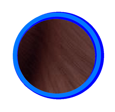 Le seal est la couleur la plus foncée du Ragdoll, elle va du marron clair au noir profond.