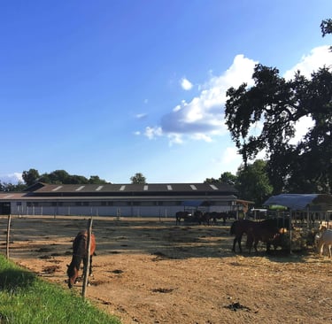 poney club Présinge