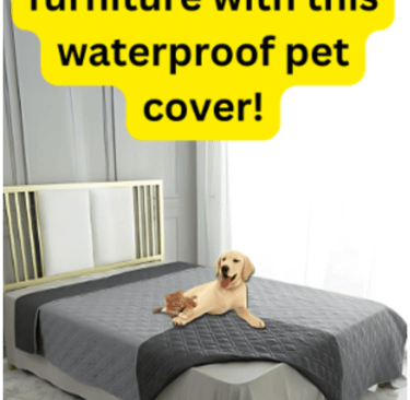 dog bed cover
