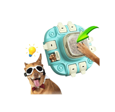 dog toy