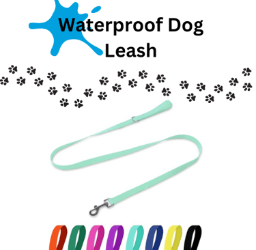 dog leash
