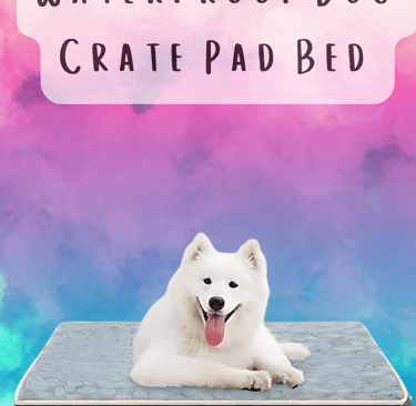 dog crate bed