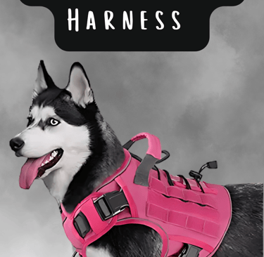 dog harness