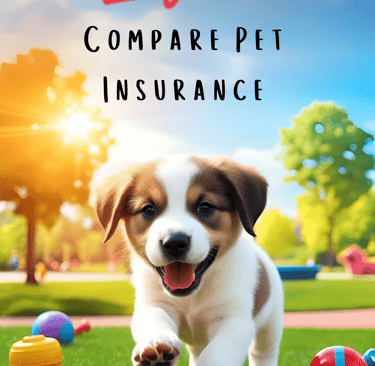 pet insurance