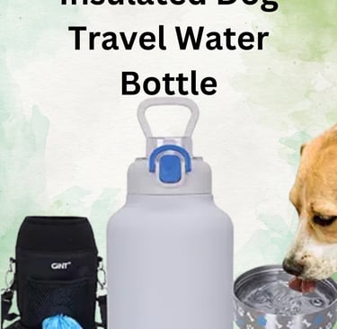 travel water bottle