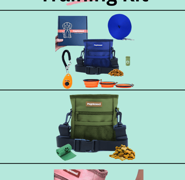 dog training kit