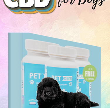 CBD for dogs